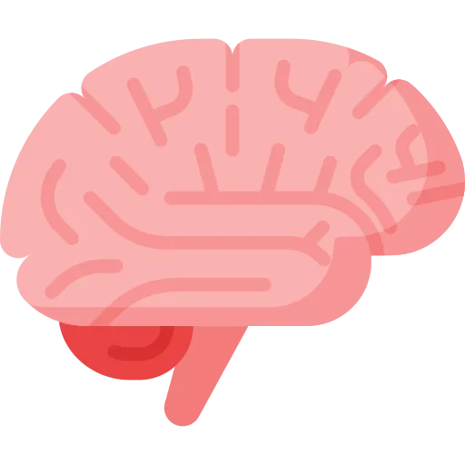 Brain · Database